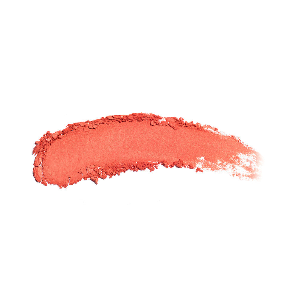 the no-rules powder 210