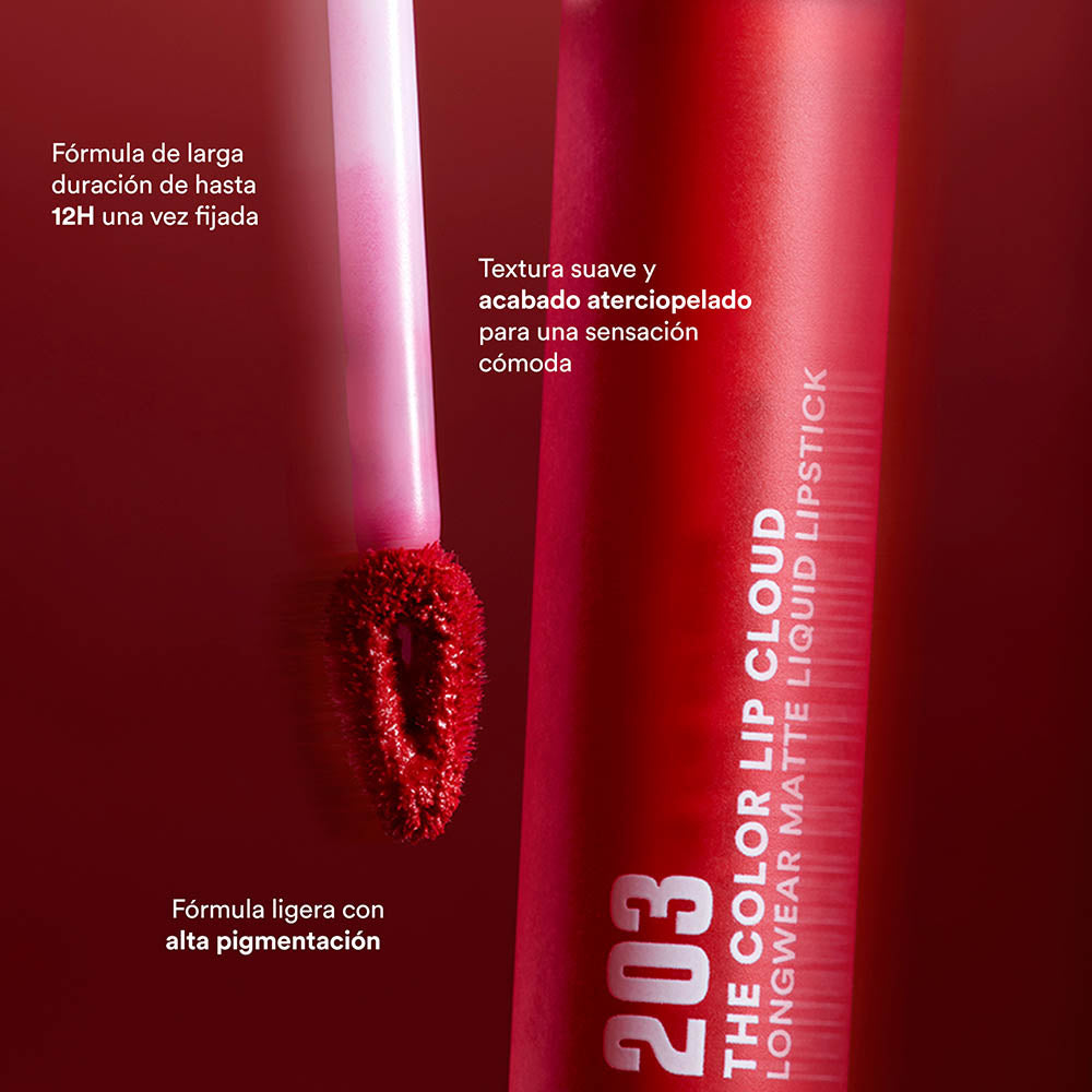 the color lip cloud 373