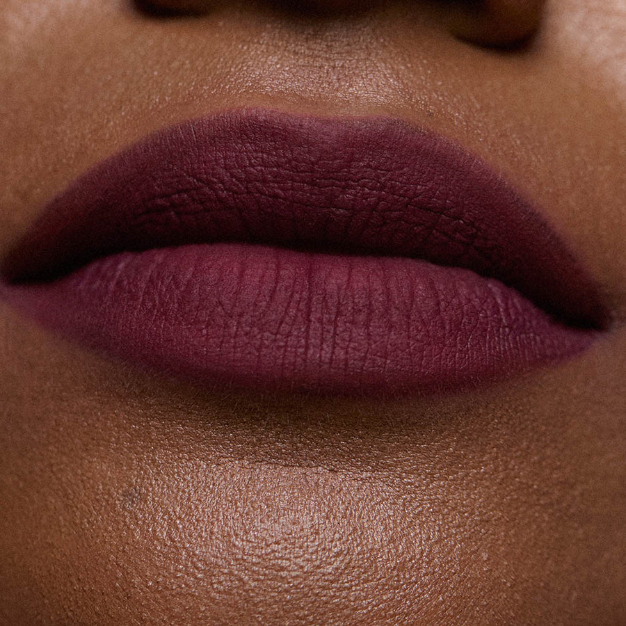 the color lip cloud 390